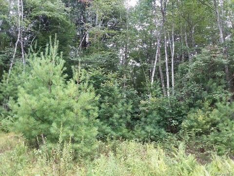 Briscoe Road, Bethel, NY 12720