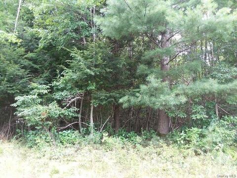 Briscoe Road, Bethel, NY 12720