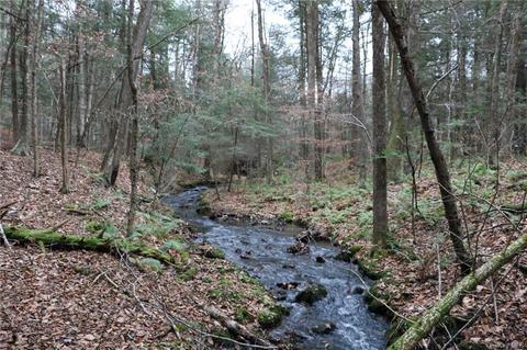 Kenoza Trail, Delaware, NY 12750