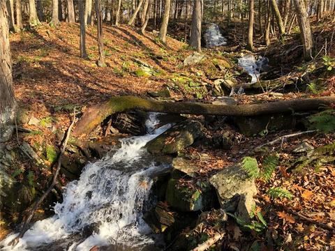 9010 State Route 97, Delaware, NY 12723