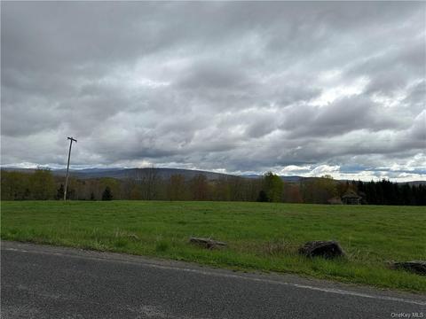 Houghtaling Road, Fallsburg, NY 12733