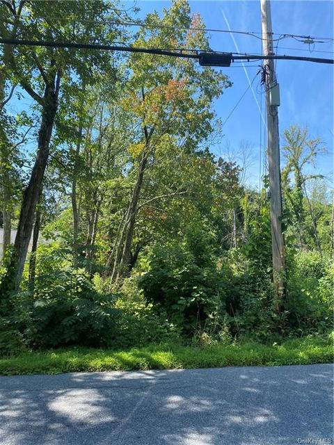 Ohalloran Circle, Pleasant Valley, NY 12569