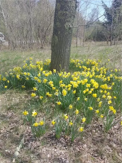 Stanton Corner, Liberty, NY 12754