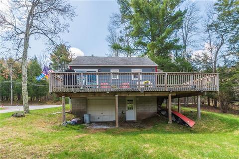 593 Briscoe Rd, Swan Lake, NY 12783