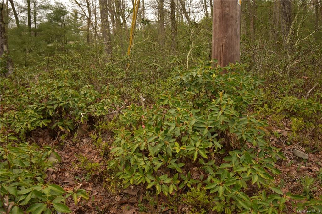 Lot 1 3 Bennett Rd  