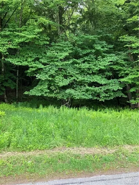 Benton Hollow Road, Fallsburg, NY 12788