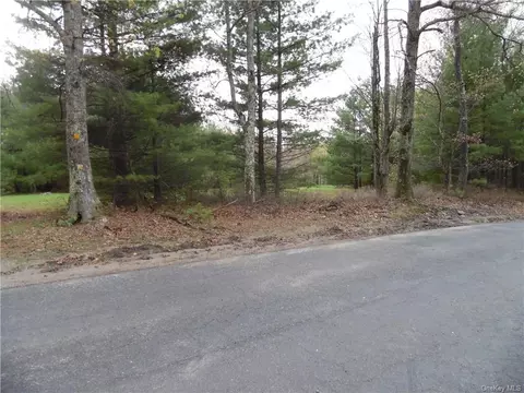 Dunn Town Road, Mamakating, NY 12790
