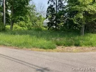 41 Maple Ave, Fishkill, NY 12524 photo 1