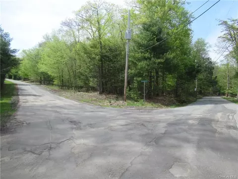 Mountain Top Road, Mamakating, NY 12790