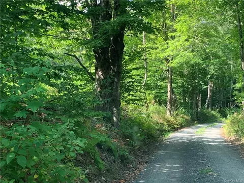 Bethlehem Tr12 Road, Fremont, NY 12736