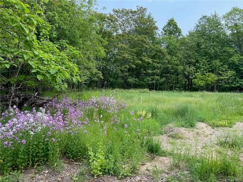 Kelly Avenue, Crawford, NY 12566
