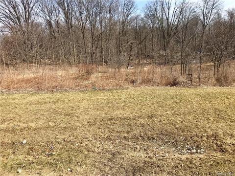 Mt Orange Road, Wawayanda, NY 10940