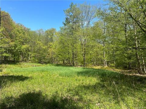 White Roe Lake Road, Rockland, NY 12758