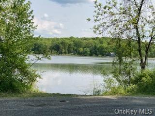 Silver Lake Road, Clinton, NY 12572