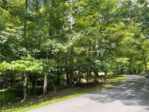 Waltke Road, Gardiner, NY 12589