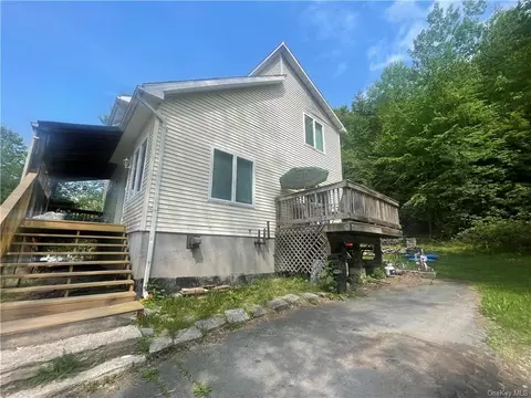 13 Birch Ln, Swan Lake, NY 12783