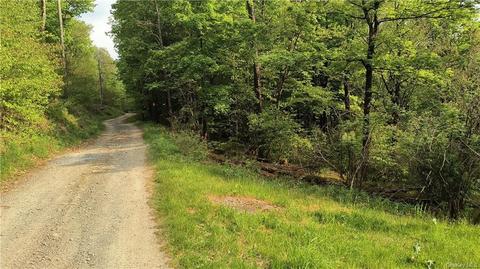Ash Clove Road, Hancock, NY 13783