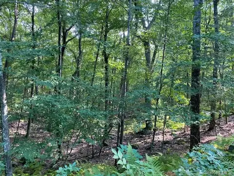 Lot 1.16 Gregory Road, Lumberland, NY 12737