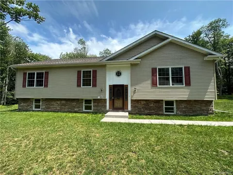 350 White Roe Lake Rd, Rockland, NY 12758