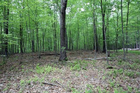 Nancy W Lane, Cochecton, NY 12726