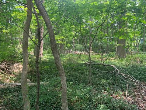 Route 52, Kent, NY 10512