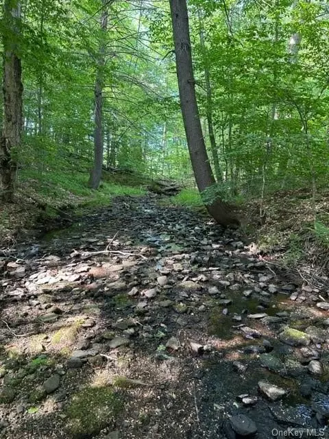 6228 State Route 55, Liberty, NY 12754