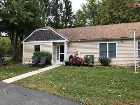 45 Hidden Ridge Ter, Thompson, NY 12701