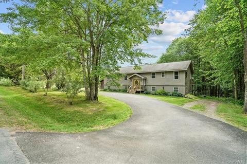 903 Lt Brender Hwy, Ferndale, NY 12734