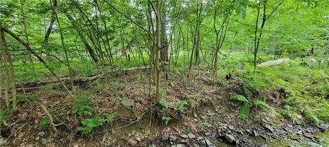 157 Lake Country Lane, Tusten, NY 12764