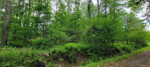 159 Lake Country Lane, Tusten, NY 12764