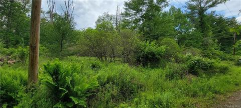 166 Lake Country Lane, Tusten, NY 12764