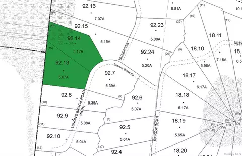 Lemon Brook Road, Bethel, NY 12720