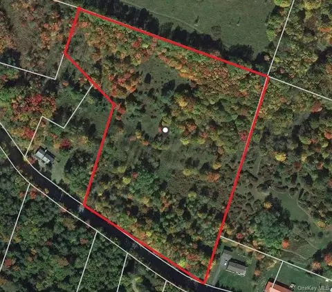 825 Tanzman Rd N, Liberty, NY 12754