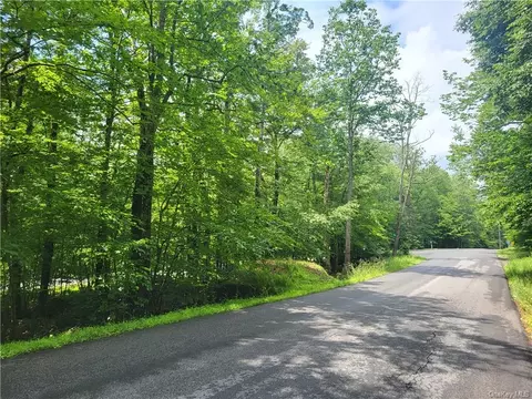 Starlight Road, Thompson, NY 12701
