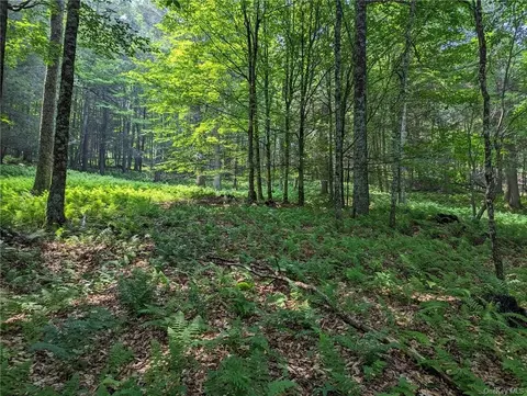 Duener Hill Road, Delaware, NY 12723