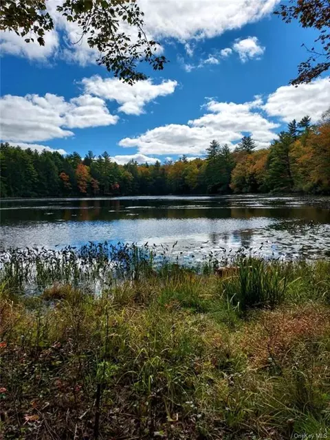 County Route 31, Lumberland, NY 12737