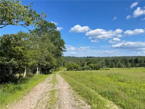 Gale Road, Bethel, NY 12720