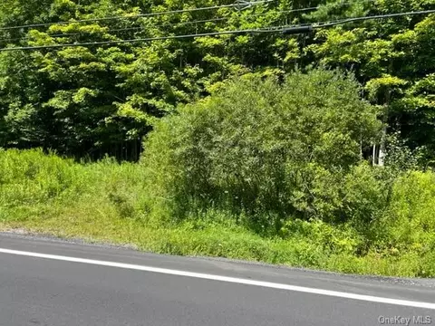 Dahlia Road W, Liberty, NY 12758