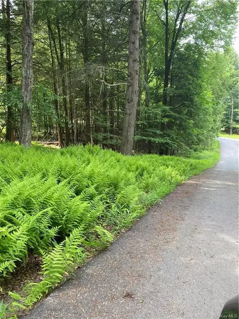 Glenwood Drive, Bethel, NY 12720