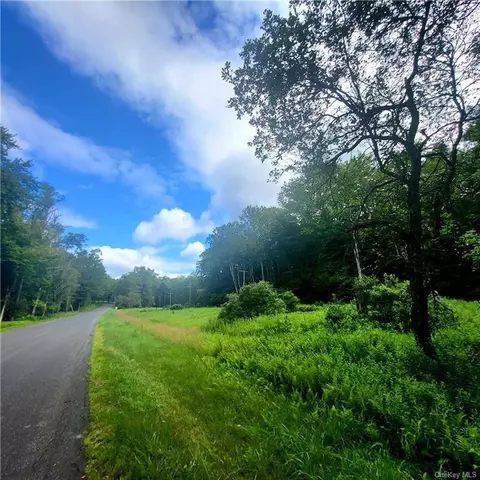 *** Schumway Road, Neversink, NY 12765