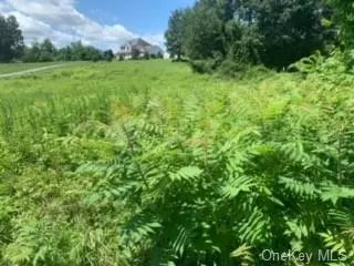273 Perkinsville Rd, Lloyd, NY 12528