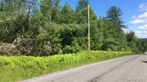 Lot 11.15 Hilltop Road, Thompson, NY 12701