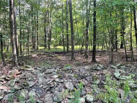 Karlau Road, Conesville, NY 12157