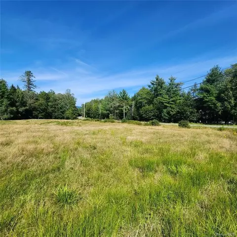 State Rte 42 & Walker Rd., Neversink, NY 12740