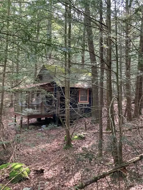 Rambling Road, Mamakating, NY 12790