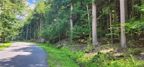 Starlight Road, Thompson, NY 12701