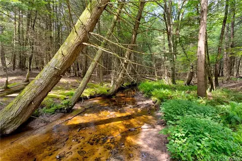 Laird Road, Bethel, NY 12720