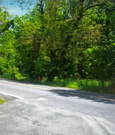 76 Old Mill Rd, Newburgh, NY 12589 photo 1