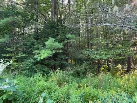 947 State Route 42, Deerpark, NY 12780