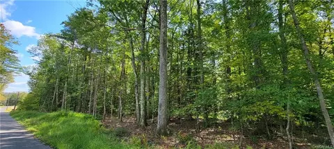 21 Mohn Road, Cochecton, NY 12726